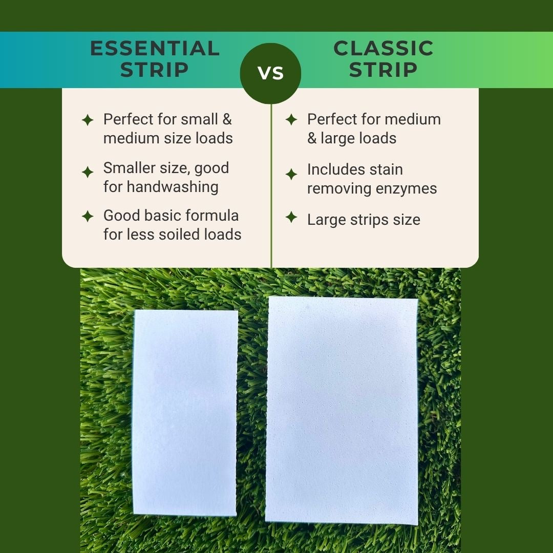 Everyday Essentials Bulk Laundry Strips - 180 small / medium loads
