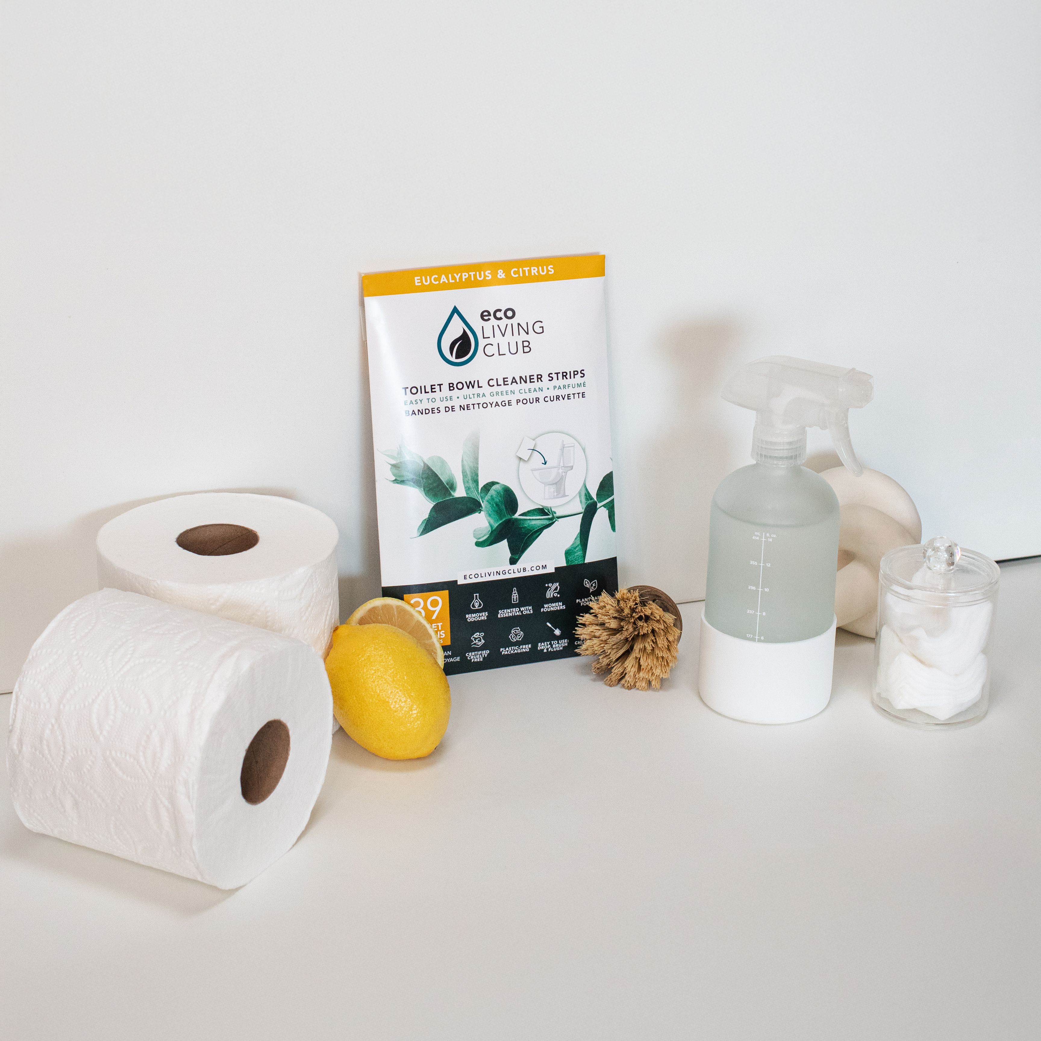 Toilet Bowl Cleaner - 750 Cleans (250 Sheets)