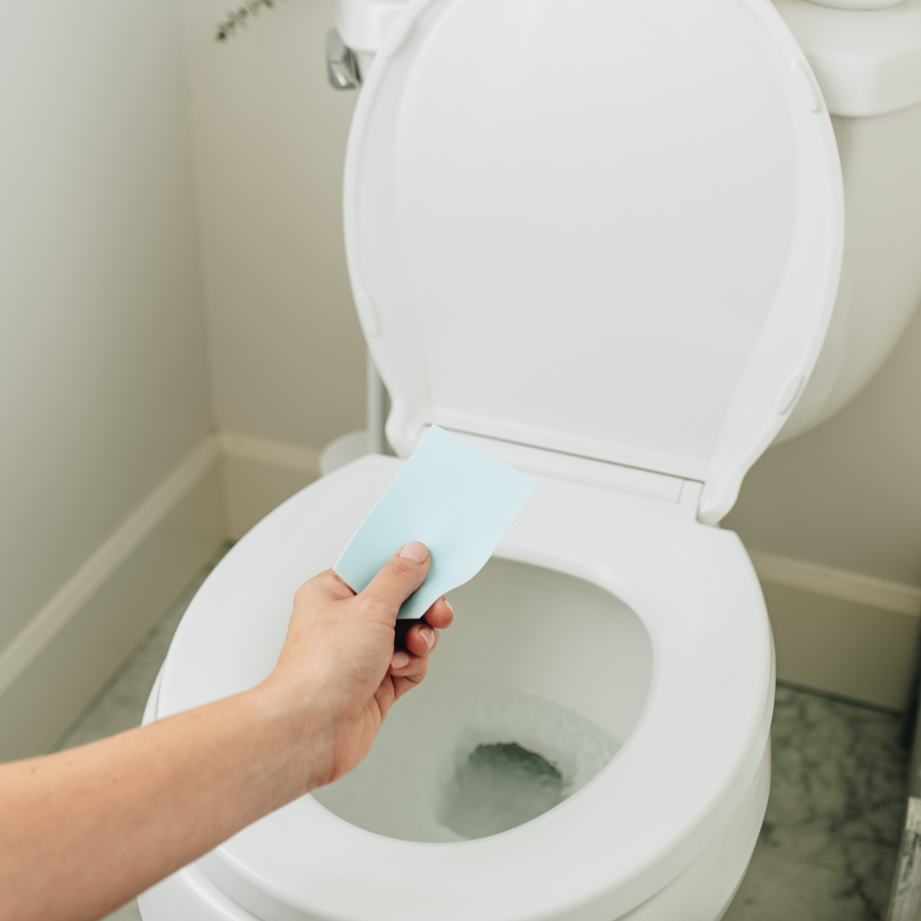 Toilet seat discount cleaner